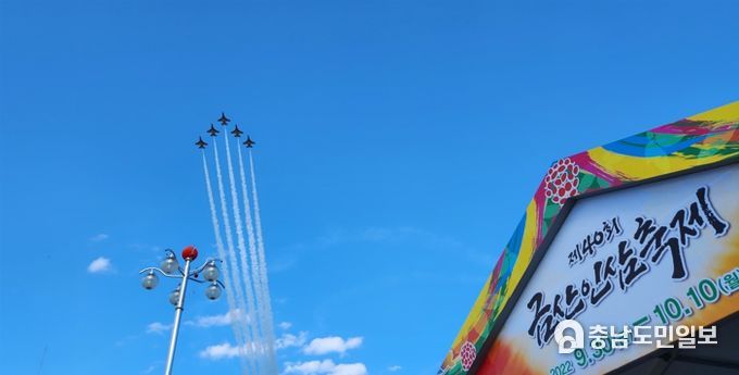 지난해 금산인삼축제 블랙이글스 에어쇼
