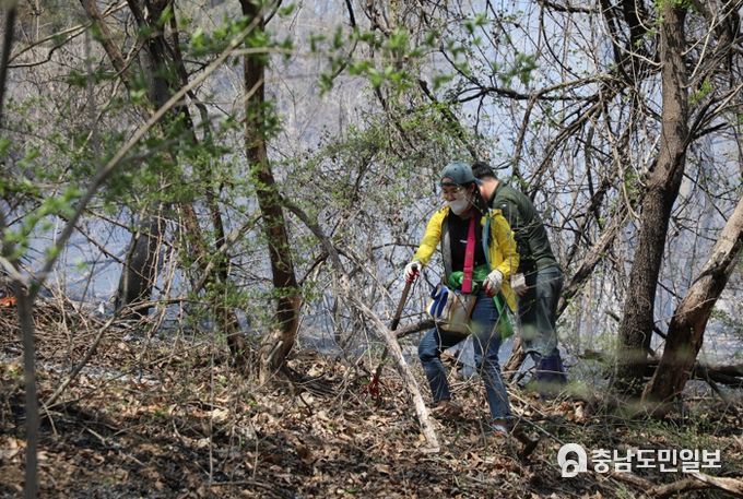 지난 3일 대전산불(금산) 진화 모습