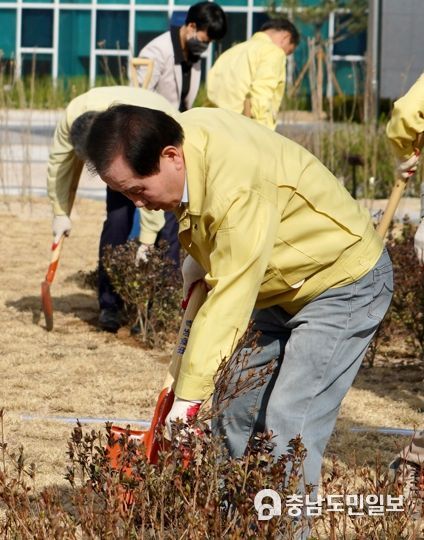 충남교육청, ‘탄소 중립 녹색성장 실현’ 78회 식목 행사 진행