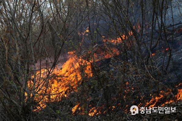 서산소방서, 봄철 부주의 화재 주의 당부