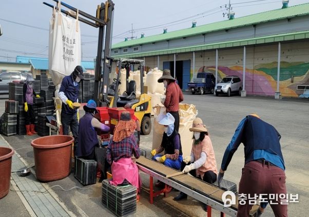 벼종자 파종