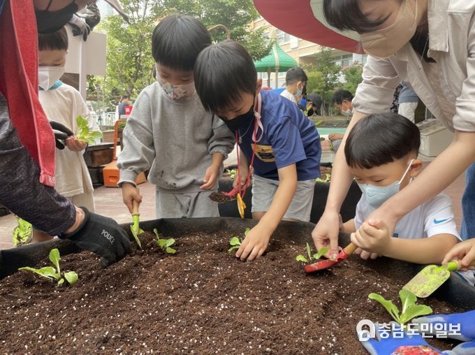 세종시, 어린이 텃밭에서 찾는 배움의 즐거움