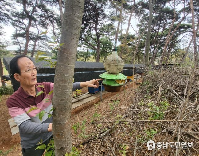 양봉장 활용사진