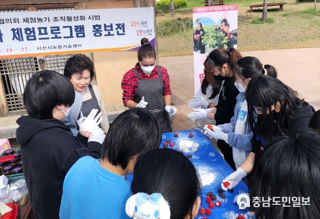 지난 26일부터 27일까지 서산시농업기술센터에서 열린 농촌체험농가 체험프로그램 홍보전 모습