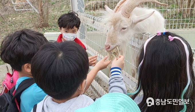 다양한 체험활동으로 홍성군 청소년의 신나는 주말을 책임집니다.
