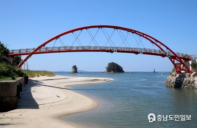 안면읍 방포항 꽃다리 모습