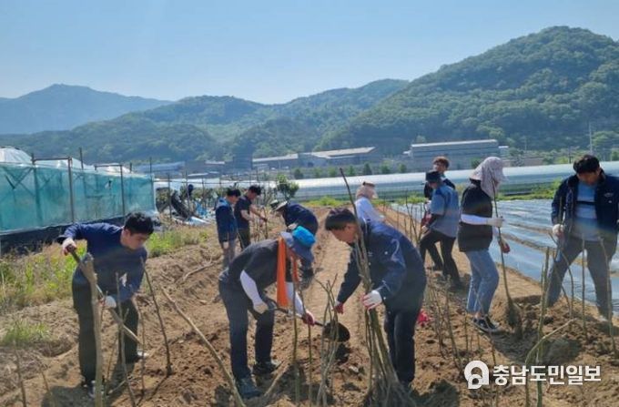 임업농가 일손 돕기 모습