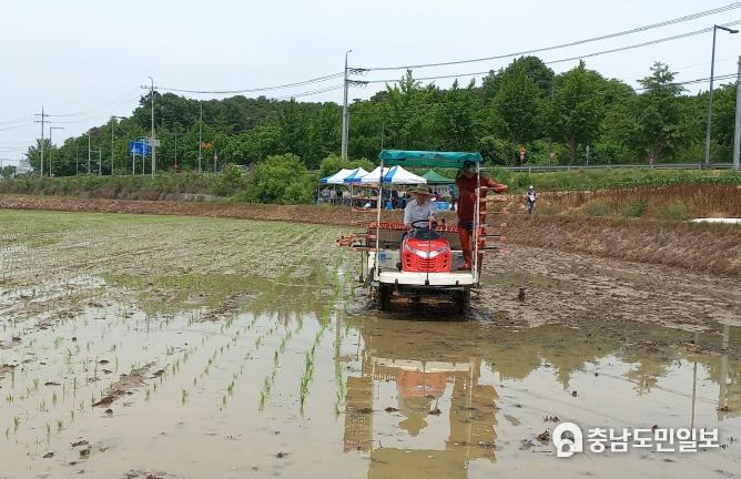 이준배 경제부시장이 지난 24일 연동면 예양리 모내기 현장을 찾아 직업 이앙기를 운전하며 모내기를 시연하고 있다.