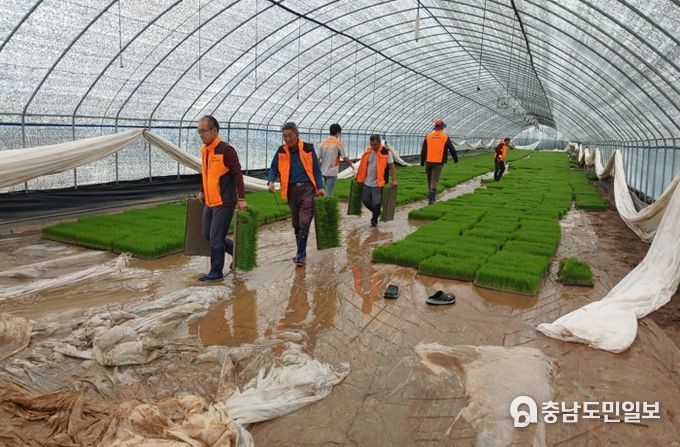 논산소방서 채운면남성의용소방대, 침수지역 피해 복구 지원