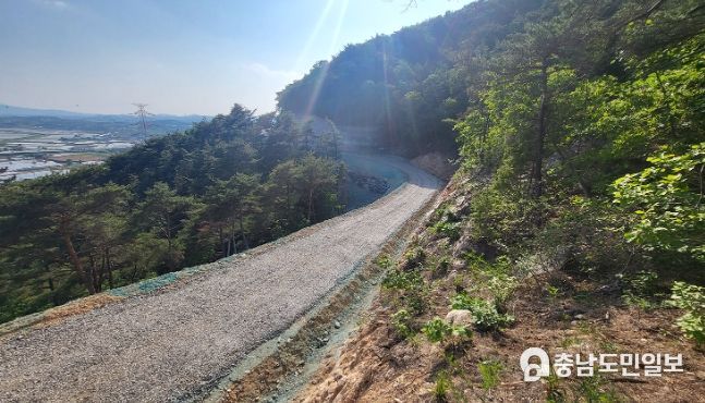 음암 도당 산7번지 일원 임도신설 사업지 현장 모습