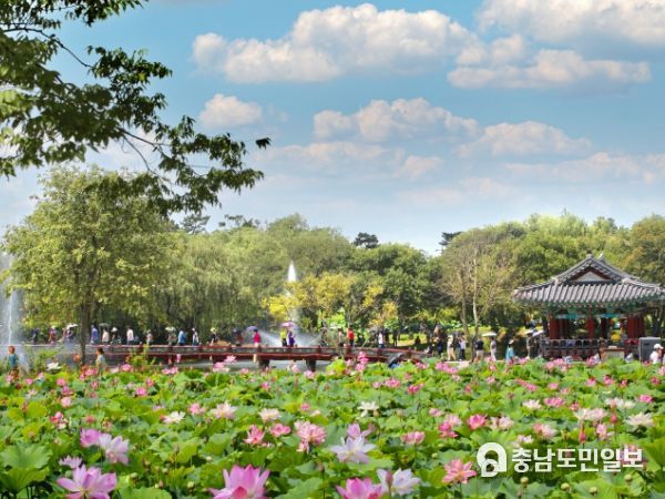 2022 부여서동연꽃축제 현장