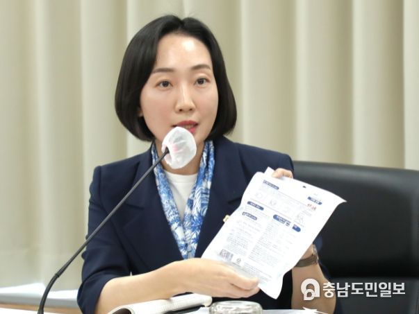 김효숙 의원(더불어민주당, 나성동)