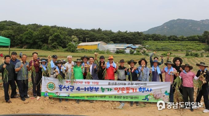 홍성군 4H 본부 회원들, 지역 마늘농가 일손돕기 행사