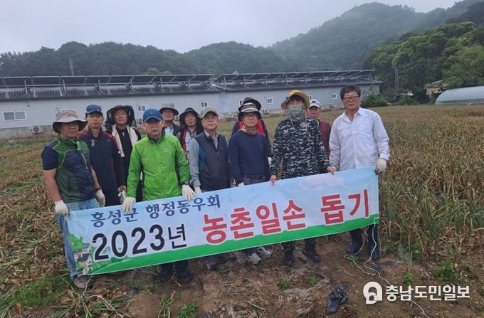 홍성군 행정동우회, 마늘 수확 일손돕기 구슬땀