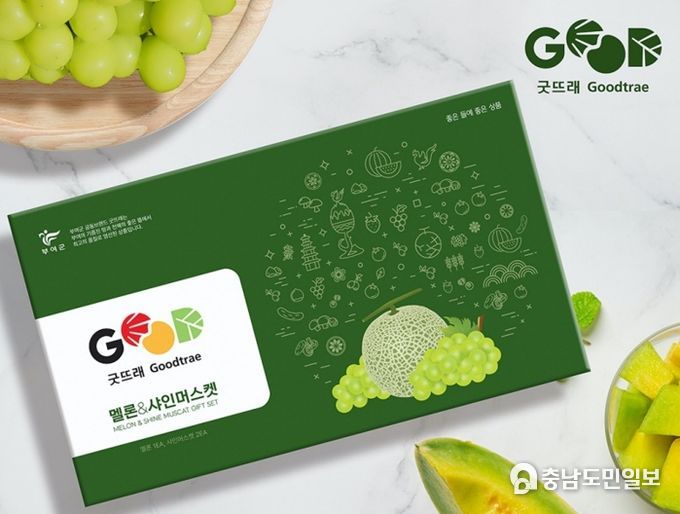 멜론+샤인머스캣 패키지