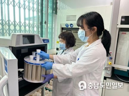 토양검정 모습