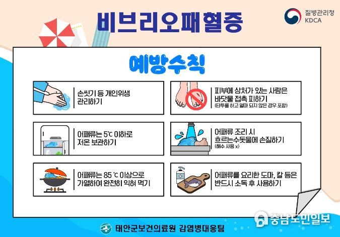 비브리오패혈증 예방 및 관리 홍보물