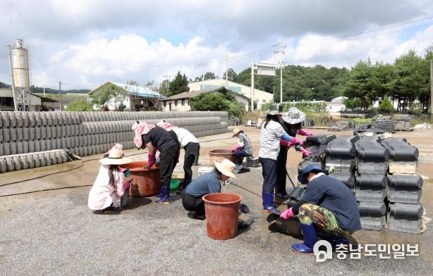 충남도의회 수해지역 피해 복구 지원 (부여, 기와세척작업 지원)