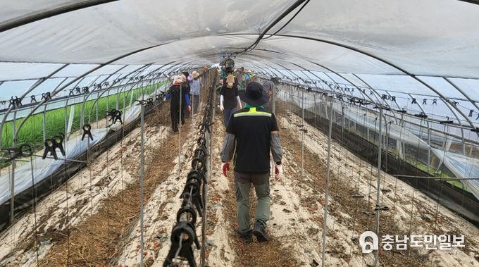 자원봉사자들 수해복구 봉사 현장