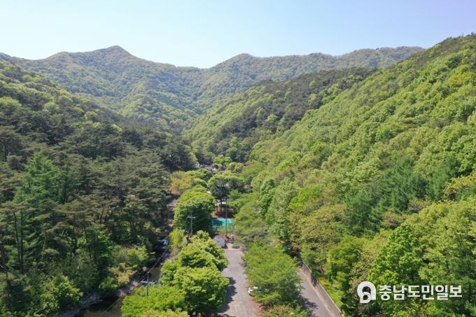 만수산자연휴양림 전경