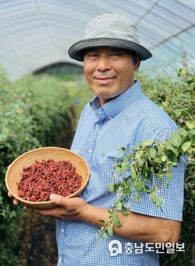 청양군, 2023 고추왕 구기자왕 선정
