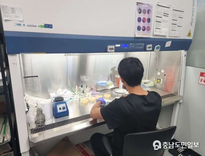 축산물안전성검사장면(동물위생시험소)