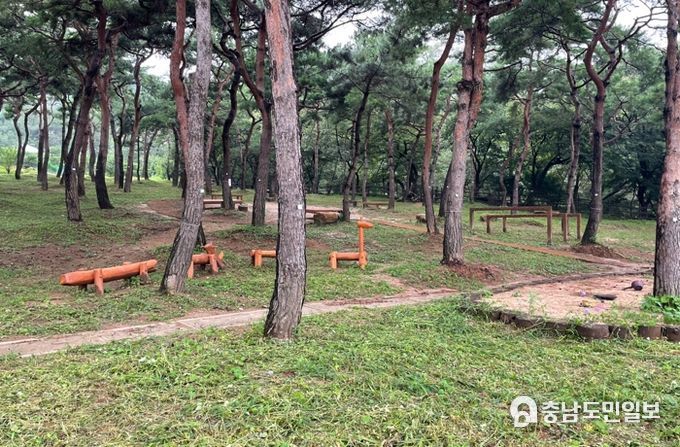 홍성군, ESG기초 산림을 통해 미래세대 교육한다!!