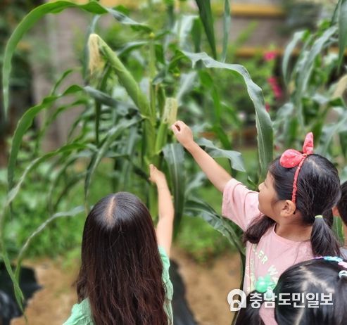 여울초 학생들이 2학기 생태 프로젝트 활동을 하고 있다.