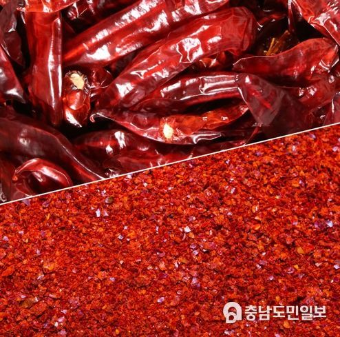 청양군, 지역산 김장용 고춧가루 TV홈쇼핑 판매