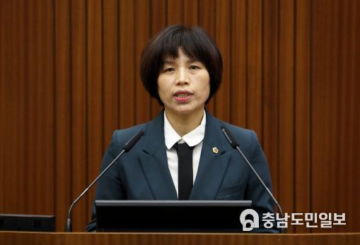 김현옥 세종시의원, ‘세종시 청소년 문화거리’ 조성을 위한 제언