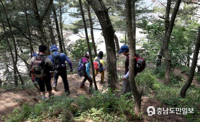 솔향기길 모습