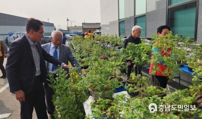 국화전시회 설명 및 감상 장면