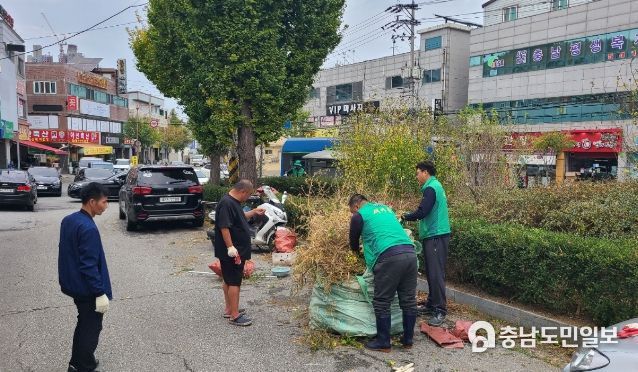 온양5동 새마을지도자협의회 회원들이 제초 작업 사진