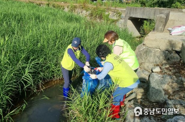 2023 세종시 도암천 우리마을 도랑살리기 사업 성료