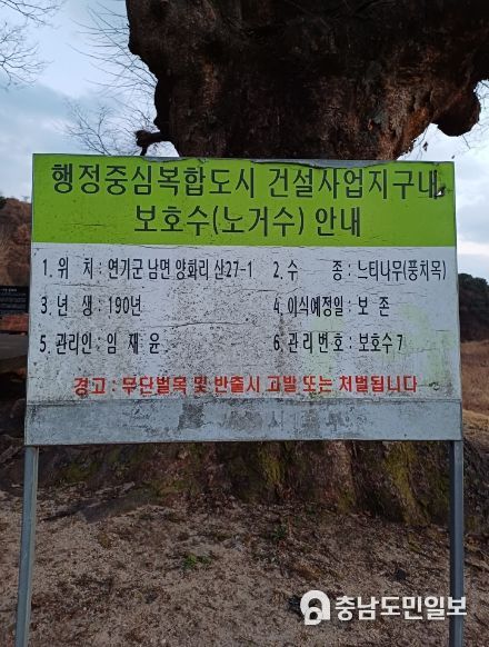 이순열 의장, ‘LH가 관리 중인 세종 보호수 및 천연기념물 상태 심각’이례적 비판