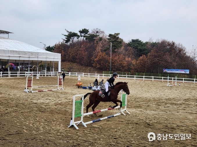 홍성군, 3기 유소년 승마단 단원 모집