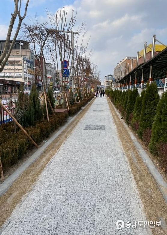 금산초 어린이보호구역 자녀안심그린숲 조성 모습