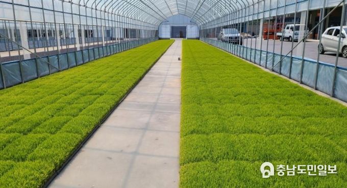 옥천군, 청산농협, 지자체협력사업으로 육묘장 신규 설치