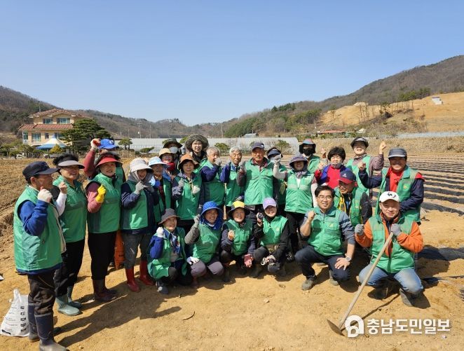 세종시 전동면새마을회, 이웃사랑 감자심기 행사 열어