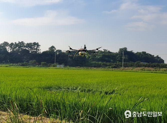 드론 방제 사진