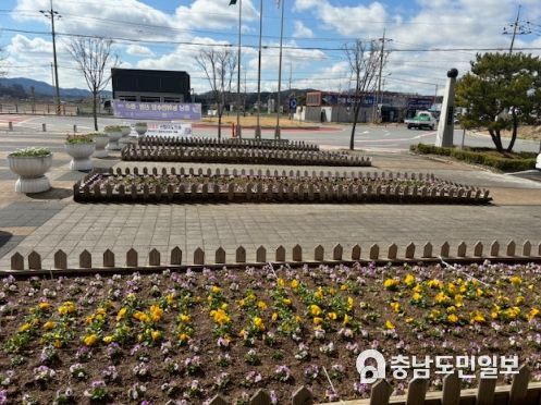 온양6동행정복지센터 앞 보랏빛 화단 조성