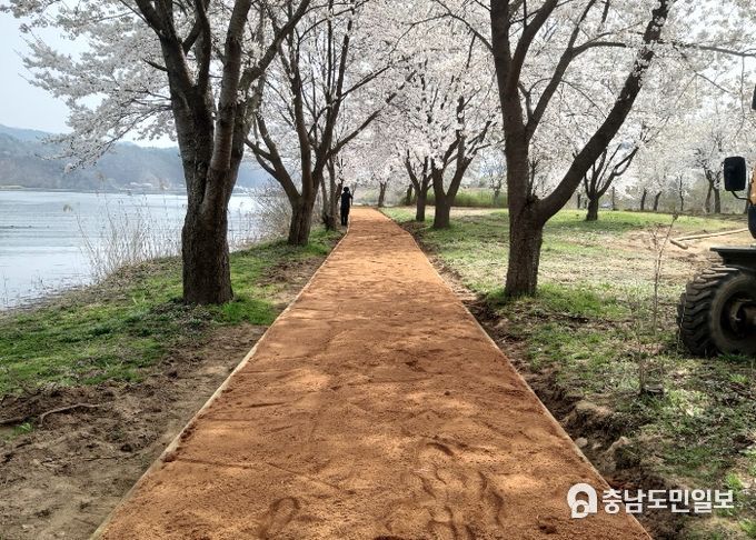 자라섬 맨발 걷기 황톳길