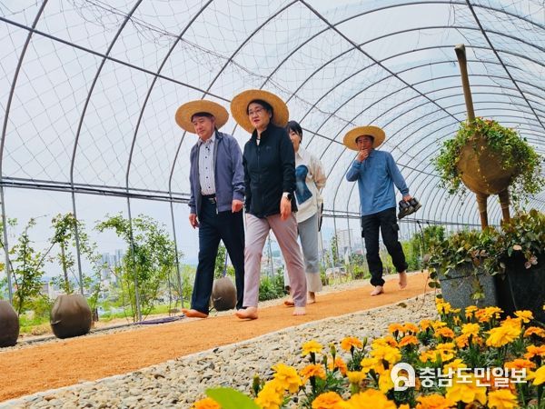 자연이 선사하는 건강한 힐링 여정 홍성군 ‘홍주성천년여행길 맨발황톳길’