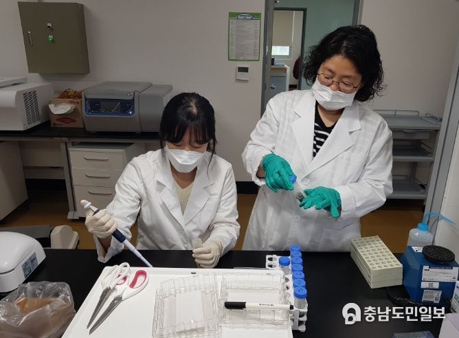 제천시 안전 먹거리를 위한 첫걸음 '농산물 안전분석실' 본격 운영