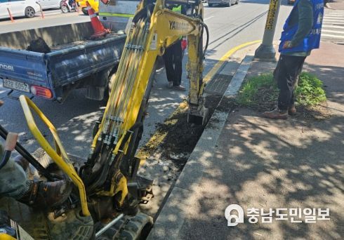고양시 일산동구 ‘빗물받이 준설 및 유지보수’사업 추진
