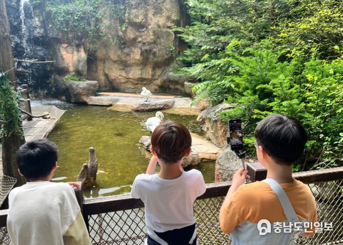 남양주시 동부희망케어센터, 5월 가정의 달 맞이 가족프로그램 성료