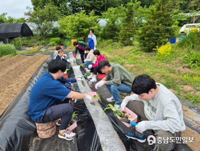홍성군, 건강약자 대상 ‘치유농업 프로그램’ 운영