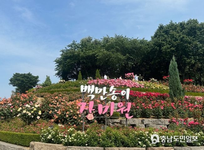 부천백만송이장미원