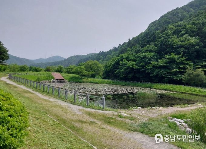 용인특례시가 길업습지에 반딧불이 서식처 복원을 위한 식생환경 조사를 벌인다