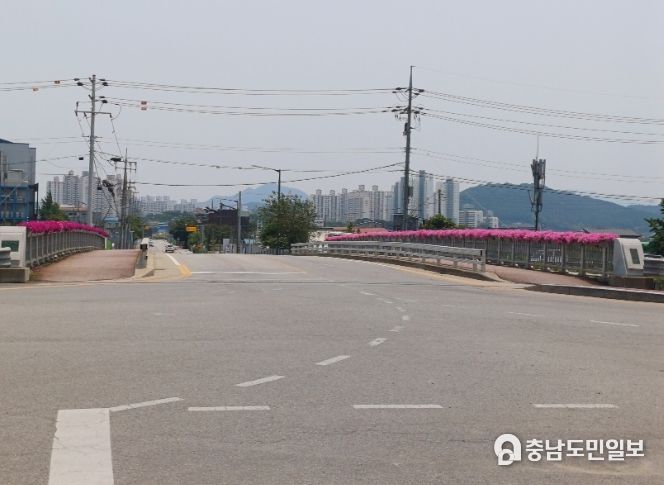 온양4동 실옥교 난간 꽃 만개 사진